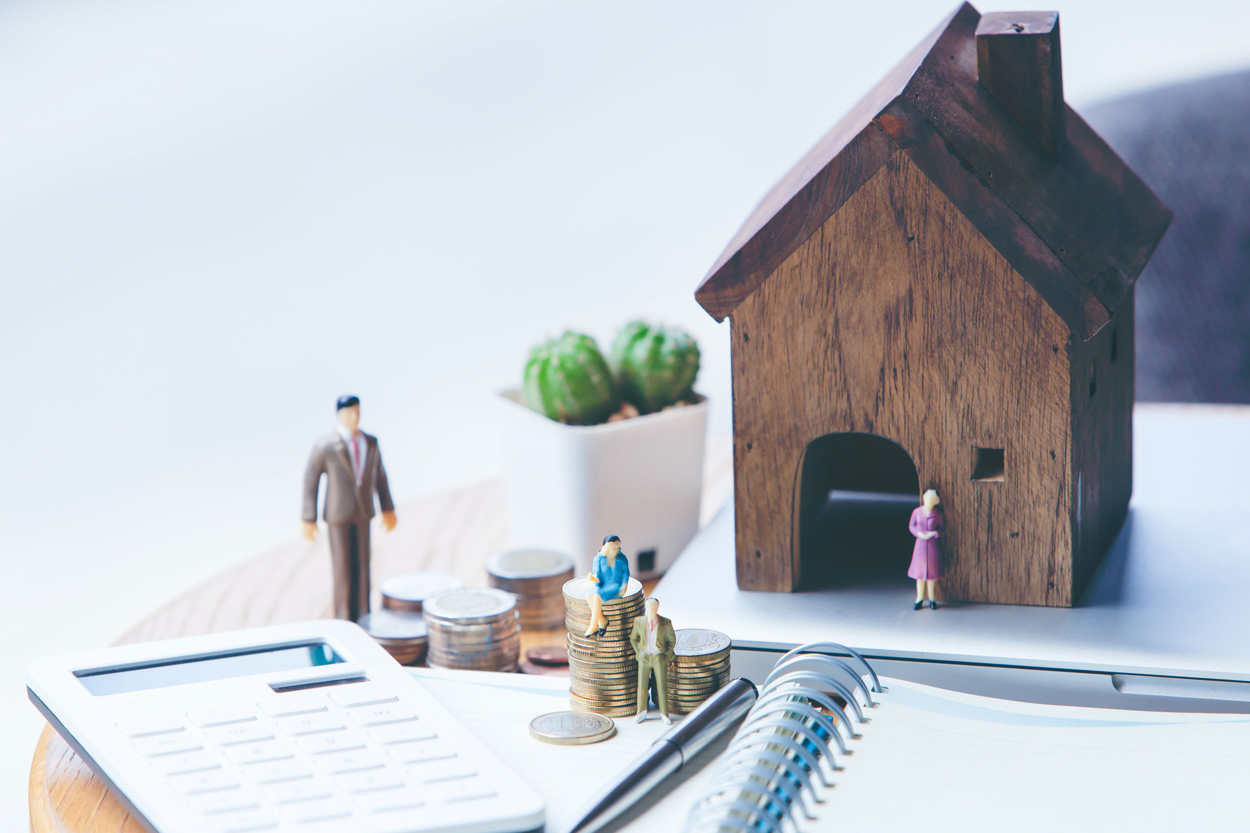 Asset Maximization